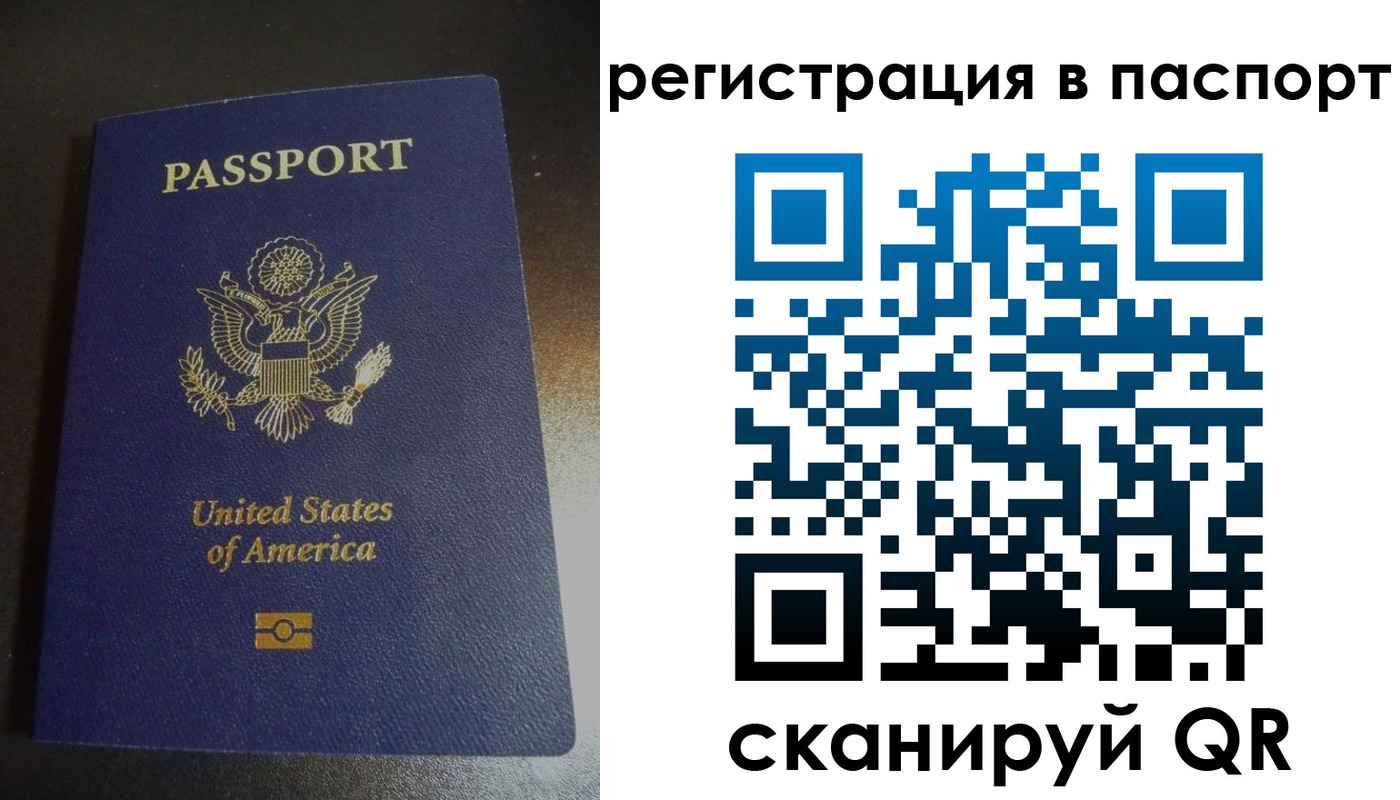 прописка для школы в Козельске